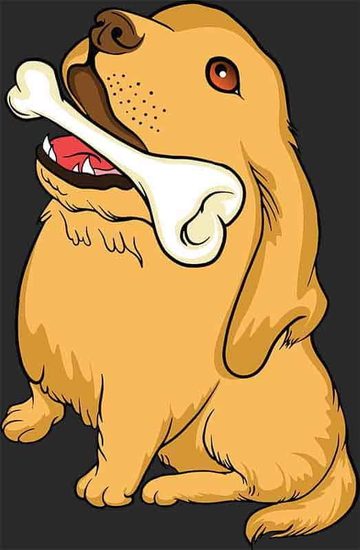 Grafika na koszulkę - Pies z Wielką Kością, Szczęśliwy Psiak