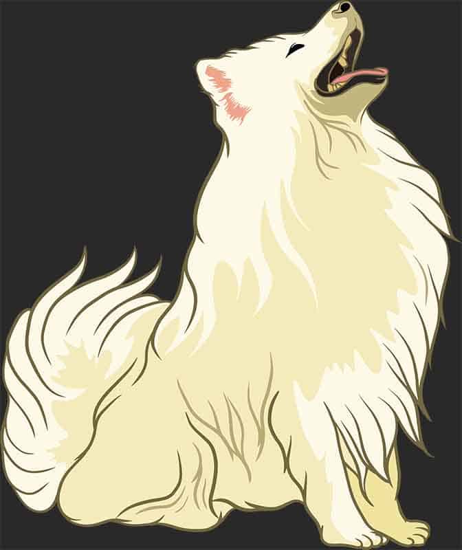 Grafika na koszulkę - Uśmiechnięty Pies, Puszysty Przyjaciel