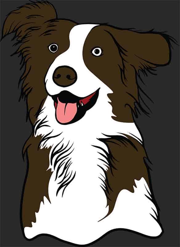 Grafika na koszulkę - Wesoły Border Collie, Energiczny Psiak