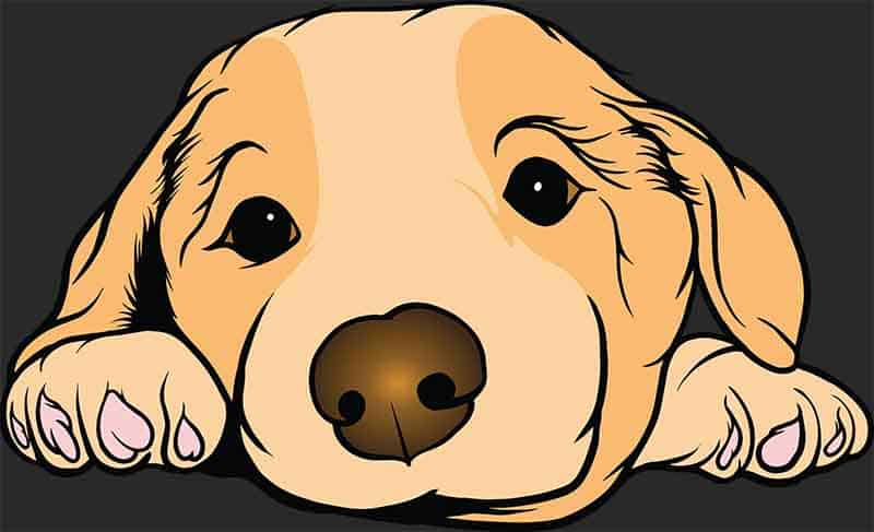 Grafika na koszulkę - Uroczy Szczeniak, Psiak w Oczekiwaniu